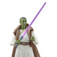 Star Wars The Black Series 6-Inch Jedi Master Vernestra Rwoh Action Figure