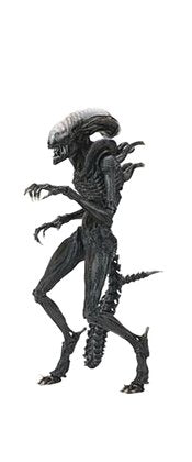 Neca Alien Romulus Scorched Xenomorph